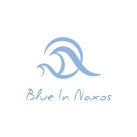Blue In Naxos Otel Naxos City Dış mekan fotoğraf