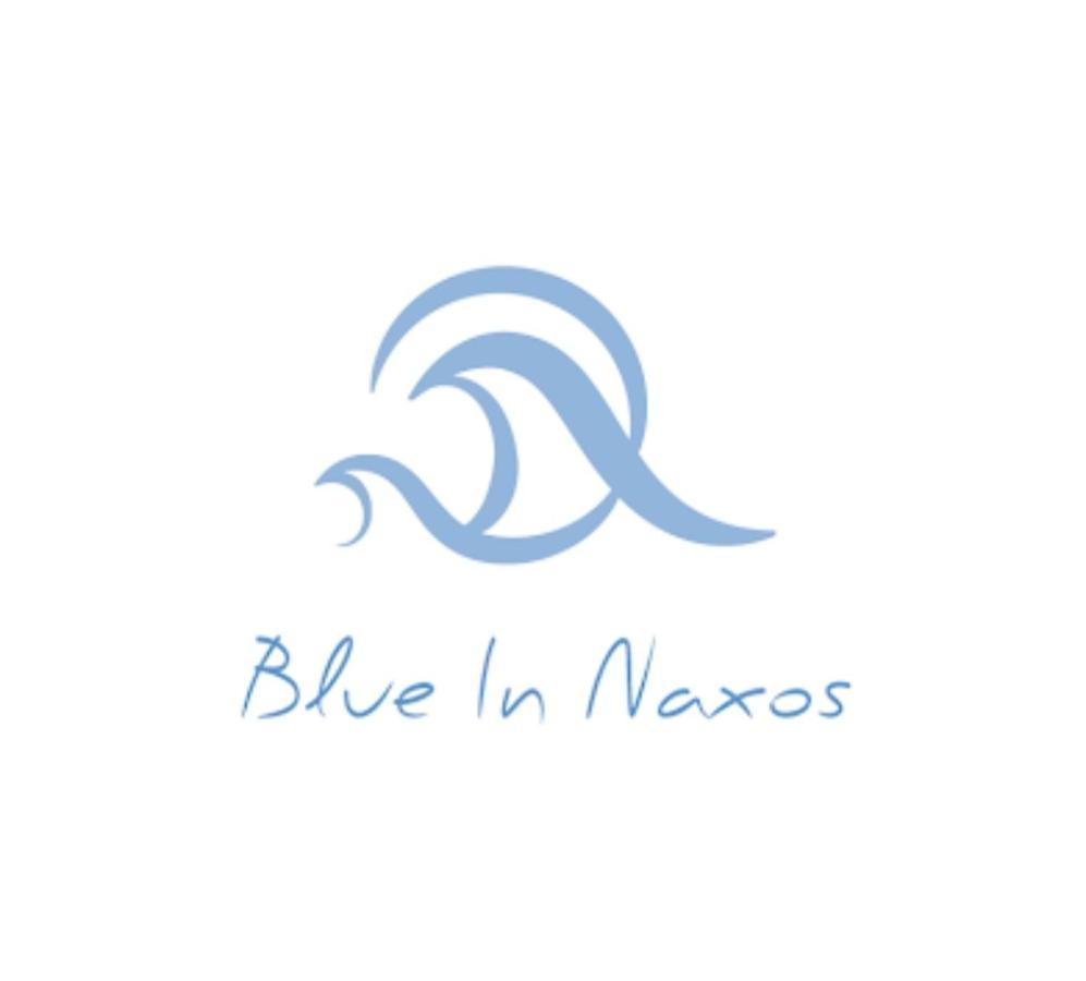 Blue In Naxos Otel Naxos City Dış mekan fotoğraf